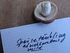 abziehbar.JPG