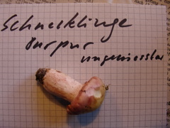 ungeniessbar.JPG