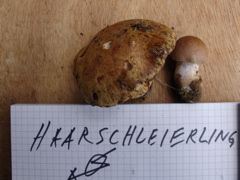 sicheristsicher.JPG